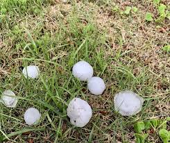 2025年7月12日東京都豊島区マドリモ取付 #だから1.5度